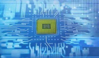 浙江大學(xué)信息技術(shù)類(lèi)專(zhuān)業(yè) 前景廣闊的高薪就業(yè)之選